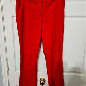 Express Columnist Pants